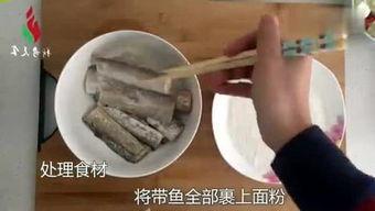 有点料官网,解锁生活新趣味