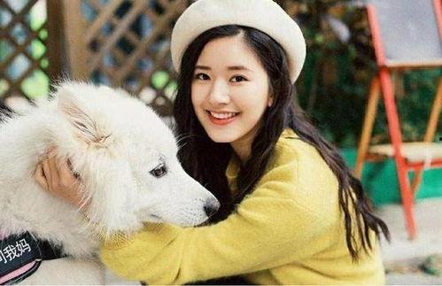 赵露思否认整容 朝阳吃瓜爆料网站在线观看,朝阳吃瓜网站直播揭秘过程